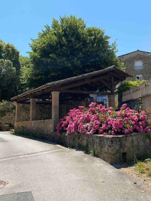 La Maison D Evahlia Creissels Extérieur photo